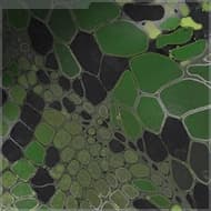 Emerald Snake camo for XM325 weapon in Call of Duty Black Ops 7