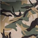 Forest camo for XM325 weapon in Call of Duty Black Ops 7