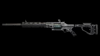 Warden 308 - Marksman Rifle weapon in Call of Duty Black Ops 7
